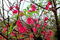 Thời Gian là gì?